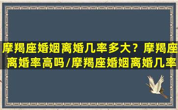 摩羯座婚姻离婚几率多大？摩羯座离婚率高吗/摩羯座婚姻离婚几率多大？摩羯座离婚率高吗-我的网站