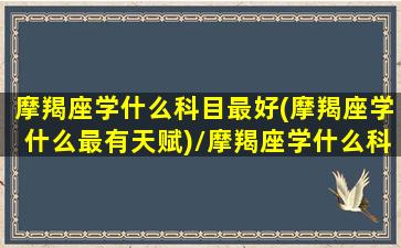 摩羯座学什么科目最好(摩羯座学什么最有天赋)/摩羯座学什么科目最好(摩羯座学什么最有天赋)-我的网站