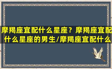 摩羯座宜配什么星座？摩羯座宜配什么星座的男生/摩羯座宜配什么星座？摩羯座宜配什么星座的男生-我的网站