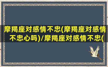 摩羯座对感情不忠(摩羯座对感情不忠心吗)/摩羯座对感情不忠(摩羯座对感情不忠心吗)-我的网站