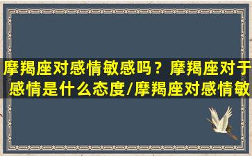 摩羯座对感情敏感吗？摩羯座对于感情是什么态度/摩羯座对感情敏感吗？摩羯座对于感情是什么态度-我的网站