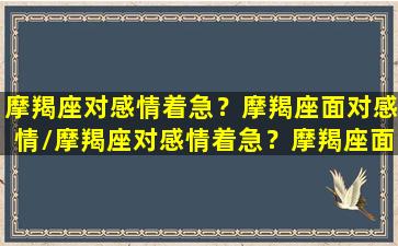 摩羯座对感情着急？摩羯座面对感情/摩羯座对感情着急？摩羯座面对感情-我的网站