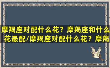 摩羯座对配什么花？摩羯座和什么花最配/摩羯座对配什么花？摩羯座和什么花最配-我的网站