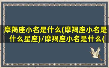 摩羯座小名是什么(摩羯座小名是什么星座)/摩羯座小名是什么(摩羯座小名是什么星座)-我的网站