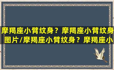 摩羯座小臂纹身？摩羯座小臂纹身图片/摩羯座小臂纹身？摩羯座小臂纹身图片-我的网站