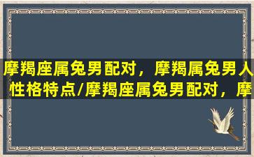 摩羯座属兔男配对，摩羯属兔男人性格特点/摩羯座属兔男配对，摩羯属兔男人性格特点-我的网站