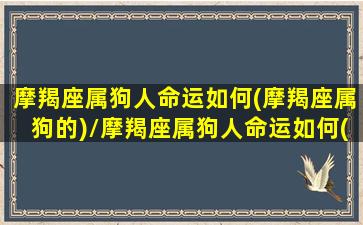 摩羯座属狗人命运如何(摩羯座属狗的)/摩羯座属狗人命运如何(摩羯座属狗的)-我的网站