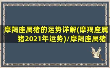 摩羯座属猪的运势详解(摩羯座属猪2021年运势)/摩羯座属猪的运势详解(摩羯座属猪2021年运势)-我的网站