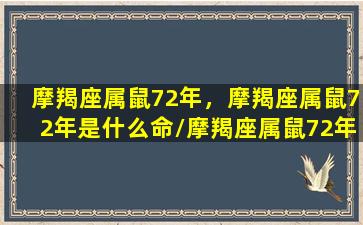 摩羯座属鼠72年，摩羯座属鼠72年是什么命/摩羯座属鼠72年，摩羯座属鼠72年是什么命-我的网站