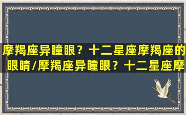 摩羯座异瞳眼？十二星座摩羯座的眼睛/摩羯座异瞳眼？十二星座摩羯座的眼睛-我的网站