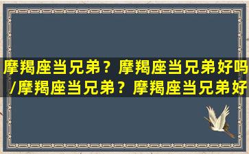 摩羯座当兄弟？摩羯座当兄弟好吗/摩羯座当兄弟？摩羯座当兄弟好吗-我的网站