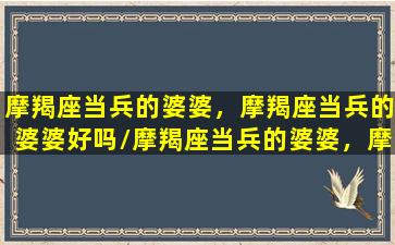 摩羯座当兵的婆婆，摩羯座当兵的婆婆好吗/摩羯座当兵的婆婆，摩羯座当兵的婆婆好吗-我的网站