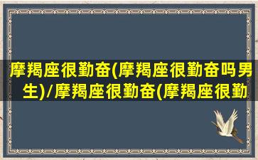 摩羯座很勤奋(摩羯座很勤奋吗男生)/摩羯座很勤奋(摩羯座很勤奋吗男生)-我的网站