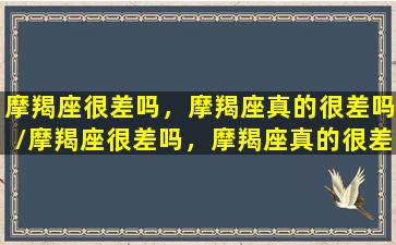 摩羯座很差吗，摩羯座真的很差吗/摩羯座很差吗，摩羯座真的很差吗-我的网站