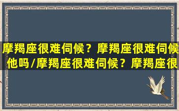 摩羯座很难伺候？摩羯座很难伺候他吗/摩羯座很难伺候？摩羯座很难伺候他吗-我的网站