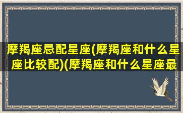 摩羯座忌配星座(摩羯座和什么星座比较配)(摩羯座和什么星座最不适合做朋友)