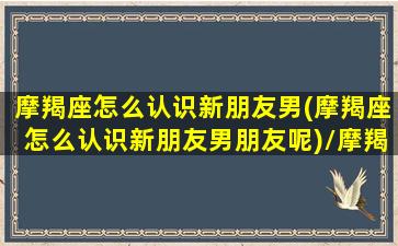 摩羯座怎么认识新朋友男(摩羯座怎么认识新朋友男朋友呢)/摩羯座怎么认识新朋友男(摩羯座怎么认识新朋友男朋友呢)-我的网站