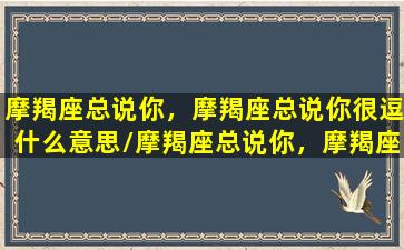 摩羯座总说你，摩羯座总说你很逗什么意思/摩羯座总说你，摩羯座总说你很逗什么意思-我的网站