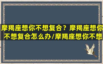 摩羯座想你不想复合？摩羯座想你不想复合怎么办/摩羯座想你不想复合？摩羯座想你不想复合怎么办-我的网站