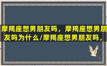 摩羯座想男朋友吗，摩羯座想男朋友吗为什么/摩羯座想男朋友吗，摩羯座想男朋友吗为什么-我的网站