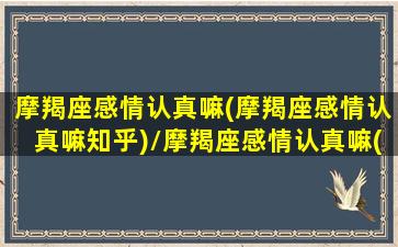 摩羯座感情认真嘛(摩羯座感情认真嘛知乎)/摩羯座感情认真嘛(摩羯座感情认真嘛知乎)-我的网站