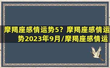 摩羯座感情运势5？摩羯座感情运势2023年9月/摩羯座感情运势5？摩羯座感情运势2023年9月-我的网站