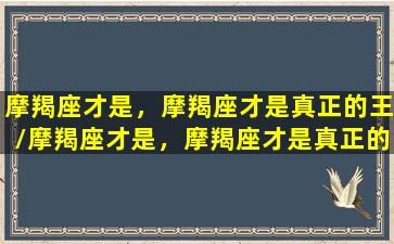 摩羯座才是，摩羯座才是真正的王/摩羯座才是，摩羯座才是真正的王-我的网站