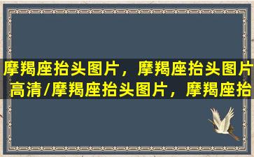 摩羯座抬头图片，摩羯座抬头图片高清/摩羯座抬头图片，摩羯座抬头图片高清-我的网站