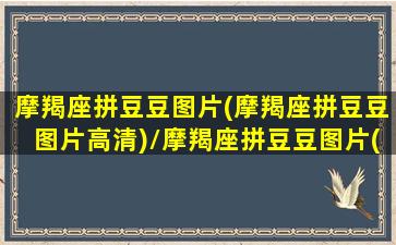 摩羯座拼豆豆图片(摩羯座拼豆豆图片高清)/摩羯座拼豆豆图片(摩羯座拼豆豆图片高清)-我的网站