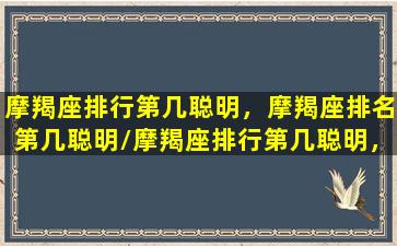 摩羯座排行第几聪明，摩羯座排名第几聪明/摩羯座排行第几聪明，摩羯座排名第几聪明-我的网站