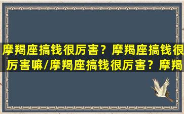 摩羯座搞钱很厉害？摩羯座搞钱很厉害嘛/摩羯座搞钱很厉害？摩羯座搞钱很厉害嘛-我的网站