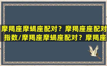 摩羯座摩蝎座配对？摩羯座座配对指数/摩羯座摩蝎座配对？摩羯座座配对指数-我的网站