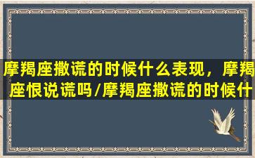 摩羯座撒谎的时候什么表现，摩羯座恨说谎吗/摩羯座撒谎的时候什么表现，摩羯座恨说谎吗-我的网站