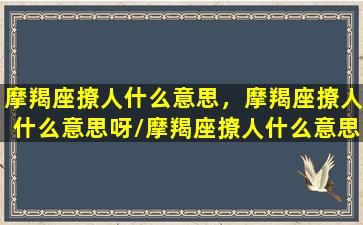 摩羯座撩人什么意思，摩羯座撩人什么意思呀/摩羯座撩人什么意思，摩羯座撩人什么意思呀-我的网站