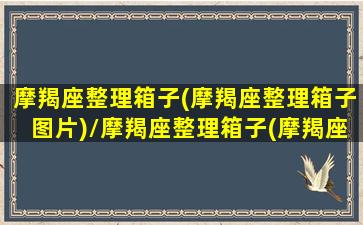 摩羯座整理箱子(摩羯座整理箱子图片)/摩羯座整理箱子(摩羯座整理箱子图片)-我的网站