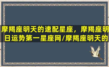 摩羯座明天的速配星座，摩羯座明日运势第一星座网/摩羯座明天的速配星座，摩羯座明日运势第一星座网-我的网站