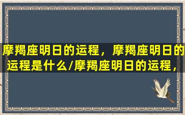 摩羯座明日的运程，摩羯座明日的运程是什么/摩羯座明日的运程，摩羯座明日的运程是什么-我的网站