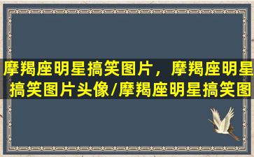 摩羯座明星搞笑图片，摩羯座明星搞笑图片头像/摩羯座明星搞笑图片，摩羯座明星搞笑图片头像-我的网站