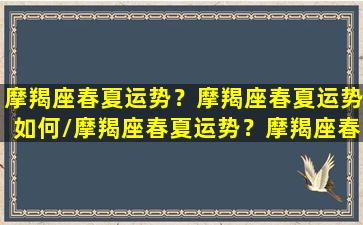 摩羯座春夏运势？摩羯座春夏运势如何/摩羯座春夏运势？摩羯座春夏运势如何-我的网站