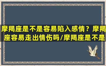 摩羯座是不是容易陷入感情？摩羯座容易走出情伤吗/摩羯座是不是容易陷入感情？摩羯座容易走出情伤吗-我的网站