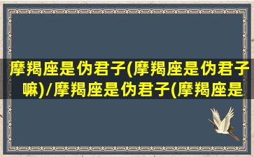 摩羯座是伪君子(摩羯座是伪君子嘛)/摩羯座是伪君子(摩羯座是伪君子嘛)-我的网站