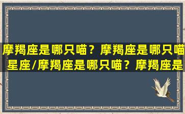 摩羯座是哪只喵？摩羯座是哪只喵星座/摩羯座是哪只喵？摩羯座是哪只喵星座-我的网站