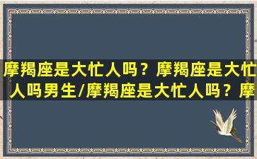 摩羯座是大忙人吗？摩羯座是大忙人吗男生/摩羯座是大忙人吗？摩羯座是大忙人吗男生-我的网站