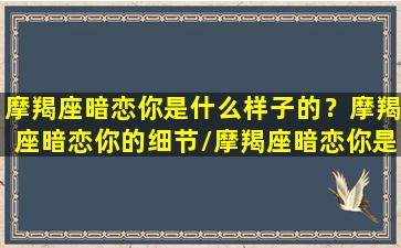 摩羯座暗恋你是什么样子的？摩羯座暗恋你的细节/摩羯座暗恋你是什么样子的？摩羯座暗恋你的细节-我的网站