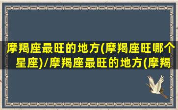 摩羯座最旺的地方(摩羯座旺哪个星座)/摩羯座最旺的地方(摩羯座旺哪个星座)-我的网站