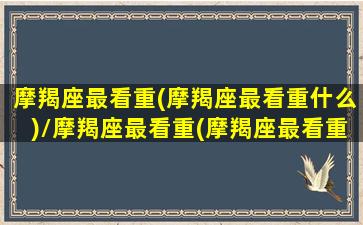 摩羯座最看重(摩羯座最看重什么)/摩羯座最看重(摩羯座最看重什么)-我的网站