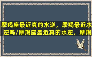 摩羯座最近真的水逆，摩羯最近水逆吗/摩羯座最近真的水逆，摩羯最近水逆吗-我的网站