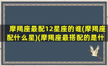 摩羯座最配12星座的谁(摩羯座配什么星)(摩羯座最搭配的是什么星座)