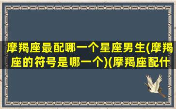 摩羯座最配哪一个星座男生(摩羯座的符号是哪一个)(摩羯座配什么星座男)