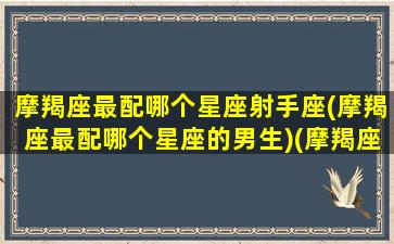 摩羯座最配哪个星座射手座(摩羯座最配哪个星座的男生)(摩羯座最配什么星座的男生)